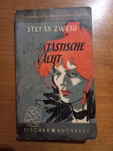 Phantastische Nacht