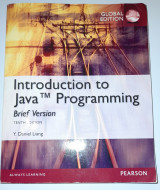 INTRO TO JAVA PROGRAMMING, BRIEF GLOBAL