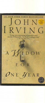 A Widow for One Year