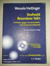 Strafrecht, besonderer Teil