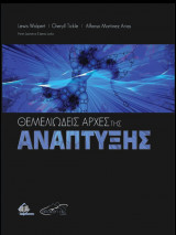 Θεμελιώδεις Αρχές της Ανάπτυξης