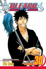Bleach, Vol. 30 v. 30