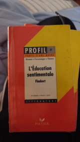 L'éducation sentimentale (1869), Flaubert