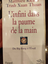 L'Infini dans la paume de la main