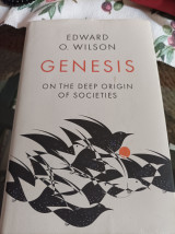 Genesis
