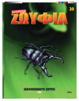 Αληθινά Ζωύφια - Τευχος 20 Ελαφοκανθαρος Δορκος
