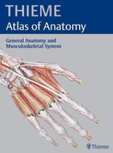 Thieme Atlas of Anatomy General Anatomy and Musculoskeletal System