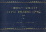 Η Ζωή στις Αλυκές Μεσολογγίου (Δίγλωσσο)