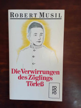 Die Verwirrungen des Zoglings Torleb