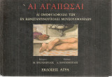 Αι αγαπώσαι, Αι ομοφυλοφιλίαι των εν Κωνσταντινουπόλει μουσουλμανίδων