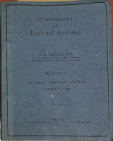 Illustrations of Regional Anatomy - Central Nervous System