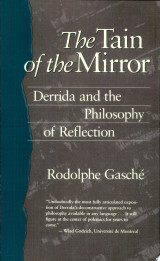The Tain of the Mirror
