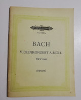 Konzert a-moll fur Violine und Streichorchester bwv 1041