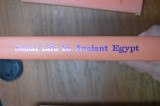 Social Life in Ancient Egypt