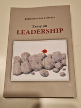 Essay on leadership