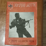 Χρυση Αυγη α.τ 37