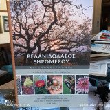 Βελανιδόδασος Ξηρόµερου - Αιτωλοακαρνανία