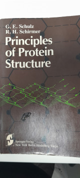 Principles of Protein Structure