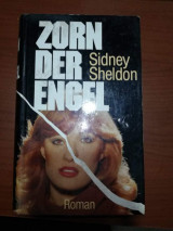 Zorn der Engel