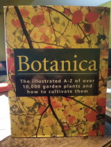 Botanica