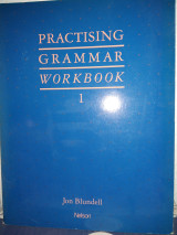 Practising grammar workbook 1