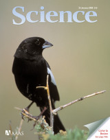 Science, Volume 319, No.5862, 25 January 2008