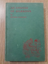 An episode of sparrows