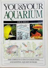 You and your aquarium