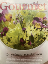 Περιοδικό gourmet 6 τέυχη του 2008