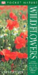 Wild Flowers