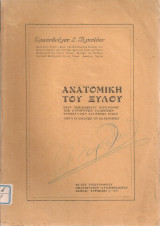 Ανατομική του ξύλου