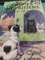 Puppies and Kittens