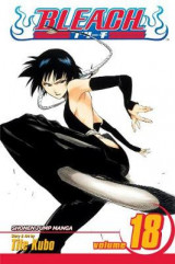 Bleach, Vol. 18 v. 18