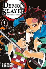 Demon slayer : kimetsu no yaiba