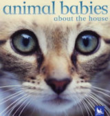Animal Babies Around the House