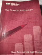 The financial Environment