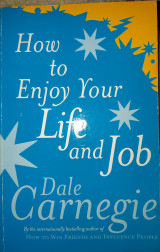 How to enjoy your life and job