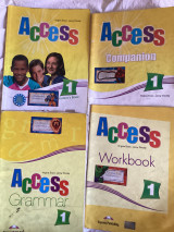 Access 1