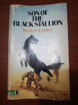 Son of the Black Stallion