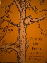 Winnie -the- pooh