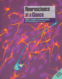 Neuroscience at a Glance
