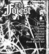 The Forest #3