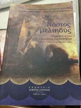Νόστος μελιηδύς