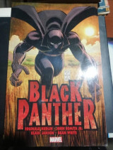 Who Is the Black Panther