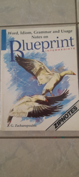 Blueprint intermediate