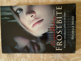Frostbite (Vampire Academy Book 2)