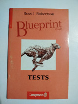 Blueprint tests