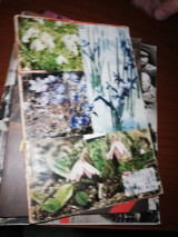 A First Book in Comprehension, Precis and Composition