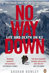 No Way Down: Life and Death on K2