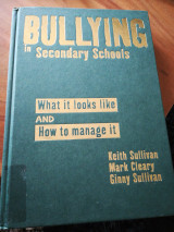 Bulling In Secondary Schools